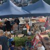 Sommertreff: Die Runzelrocker